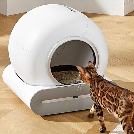 Bac à litière chat | CleanCat - Patte à Chat