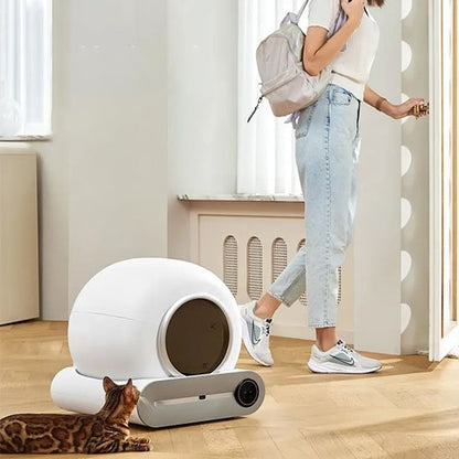 Bac à litière chat | CleanCat - Patte à Chat