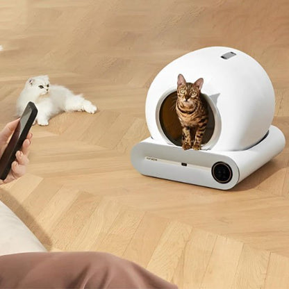 Bac à litière chat | CleanCat - Patte à Chat