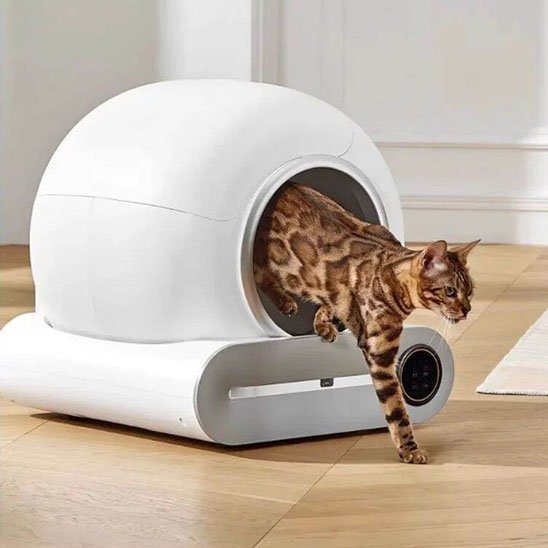 Bac à litière chat | CleanCat - Patte à Chat