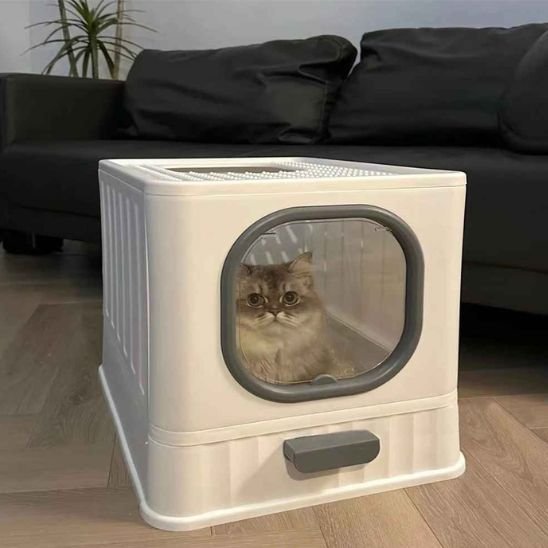 bac-litière-chat-ergonomique-soins