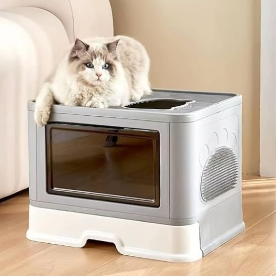 bac-litière-chat-entretien-sain