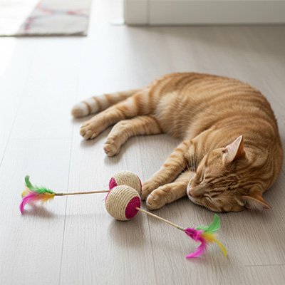 balle-chat-en-sisal-drôle