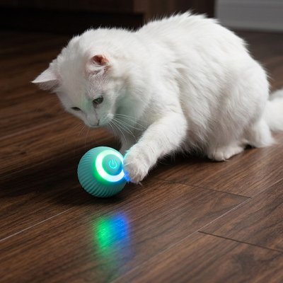 balle-interactive-chat-électrique-amusante