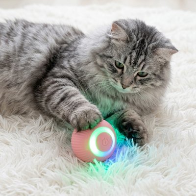 balle-interactive-chat-électrique-stimulante