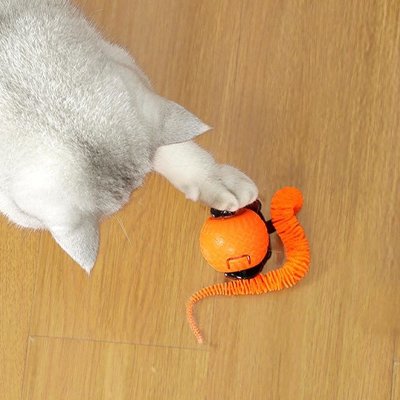 balle-interactive-chat-rotative-orange