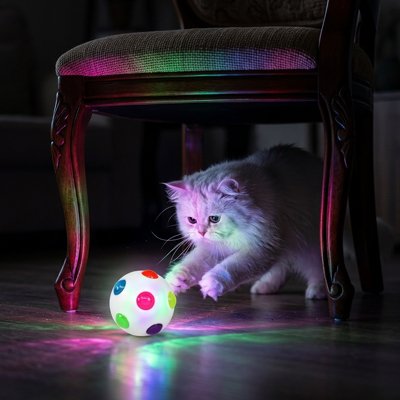 balle-pour-chat-avec-lumière-led-blanche