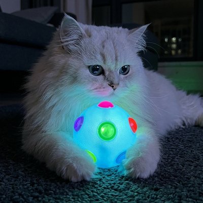 balle-pour-chat-avec-lumière-led-ludique