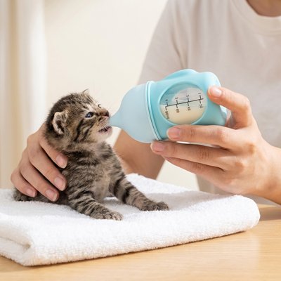 Biberon chaton Nuit Paisible™ - tétine anatomique calibrée