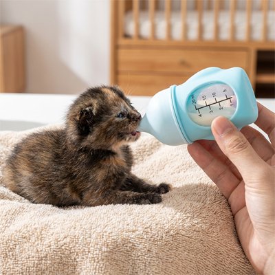 Biberon chaton bleu pour nouveau-né - angle tétée naturel