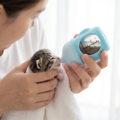 Biberon chaton - design ergonomique et réservoir transparent
