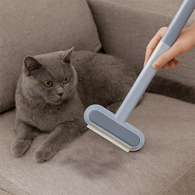 Brosse anti poil hygiénique double face