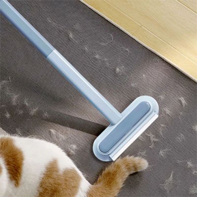 Brosse anti poil double face