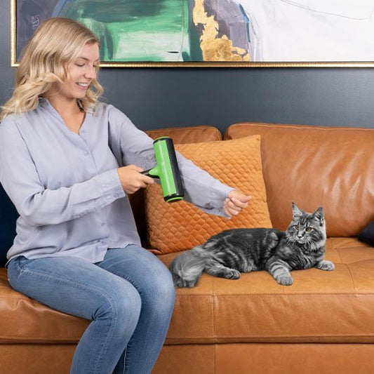 Brosse anti poil nettoyable ergonomique