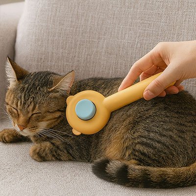 brosse-autonettoyante-chat-fonctionnelle 