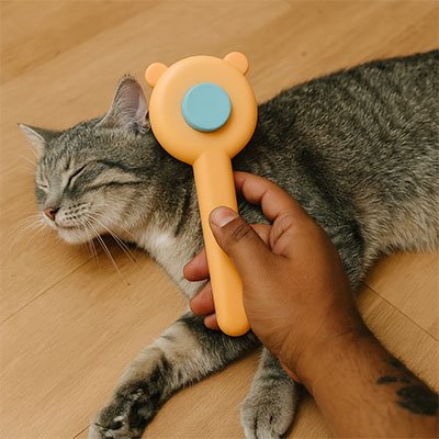 brosse-autonettoyante-chat-hygiénique