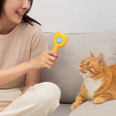 brosse-autonettoyante-chat-pour-tout-poil