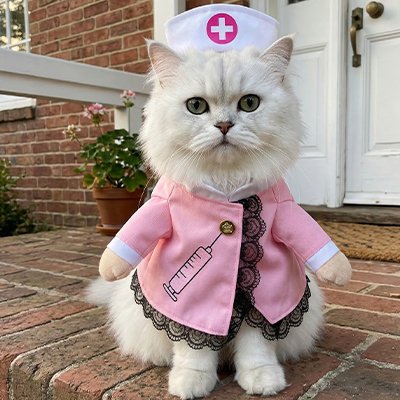 costume-pour-chat-infermière-rose