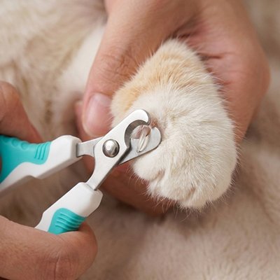 coupe-griffe-chat-ergonomique-vert-blanc