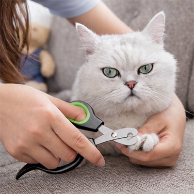 coupe-griffe-chat-modèle-guillotine