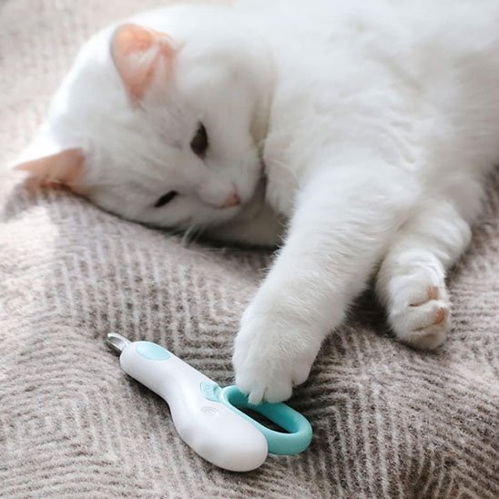 coupe-griffe-pour-chat-avec-lumière-led-bleu