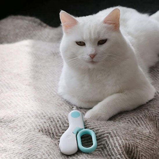 coupe-griffe-pour-chat-avec-lumière-led-expert