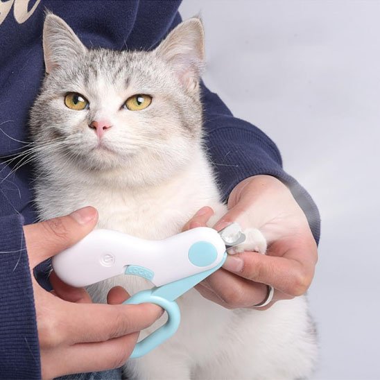 coupe-griffe-pour-chat-avec-lumière-led