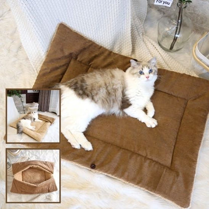 coussin-a-chat-cafe