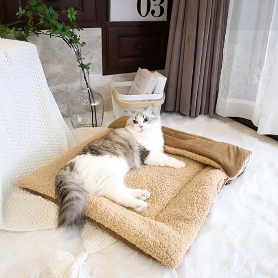 coussin-a-chat-caramel