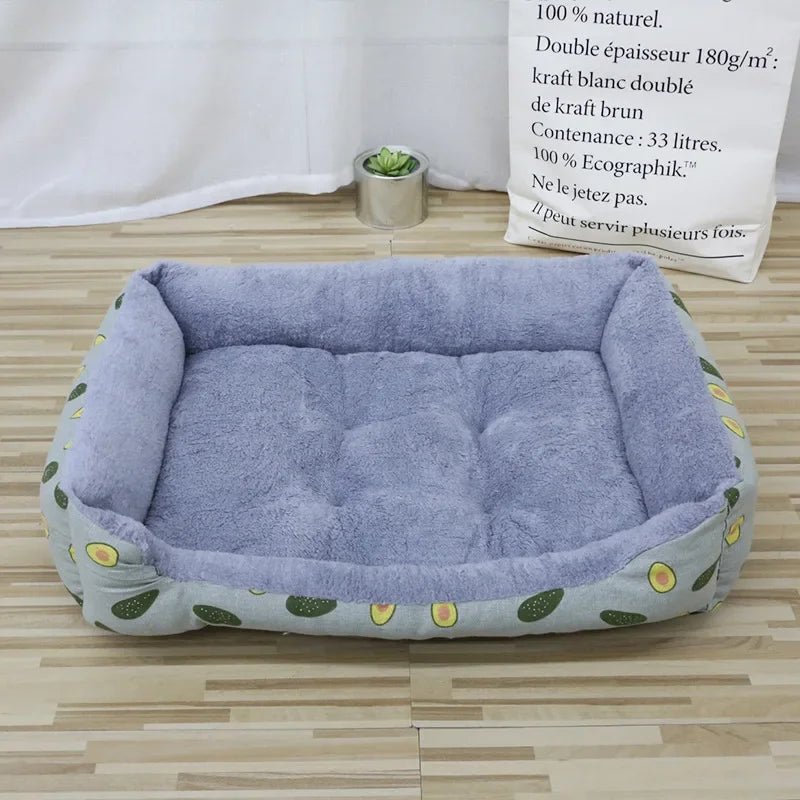 coussin-chat-rectangle-avocat