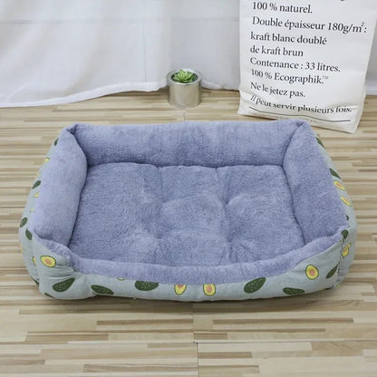 coussin-chat-rectangle-avocat
