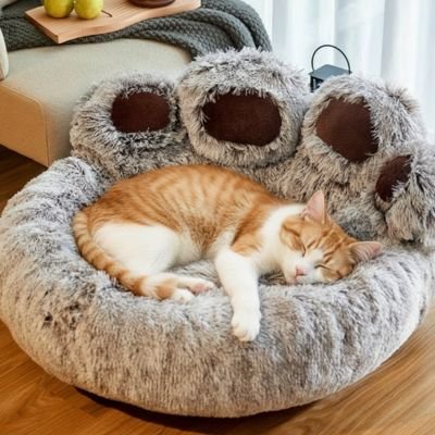 coussin-patte-de-chat-ergonomique