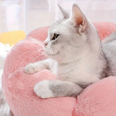 coussin-pour-chat-calinou-mignon