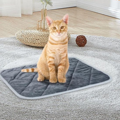 coussin-pour-chat-chauffant-cosy