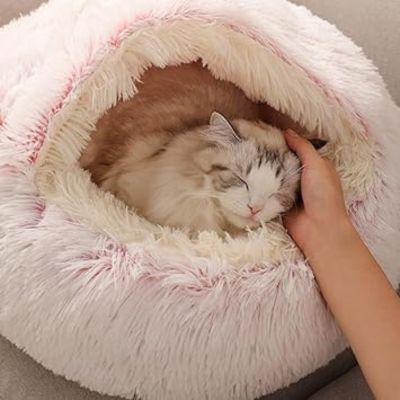 COUSSIN POUR CHAT | CoconCat™ - Patte à Chat