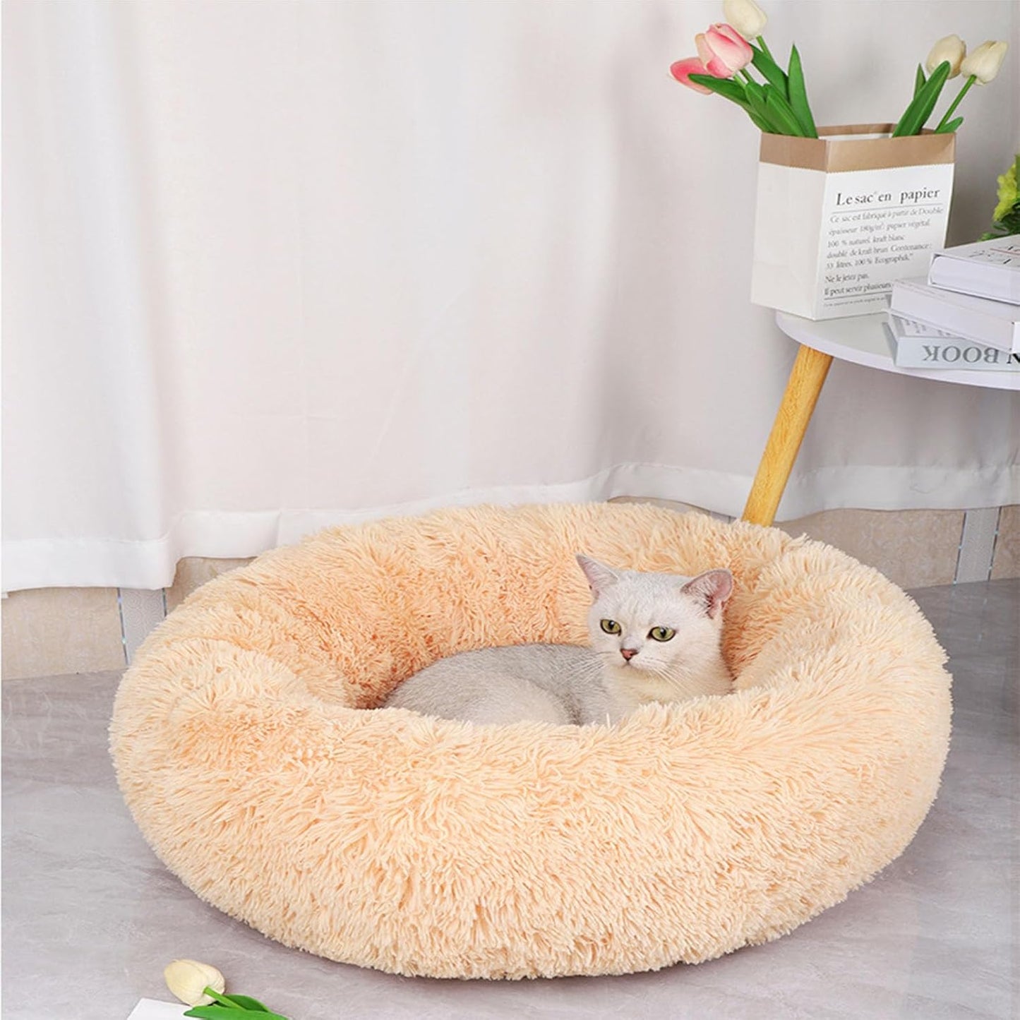 Coussin pour chat | DouxDonuts™ - Patte à Chat