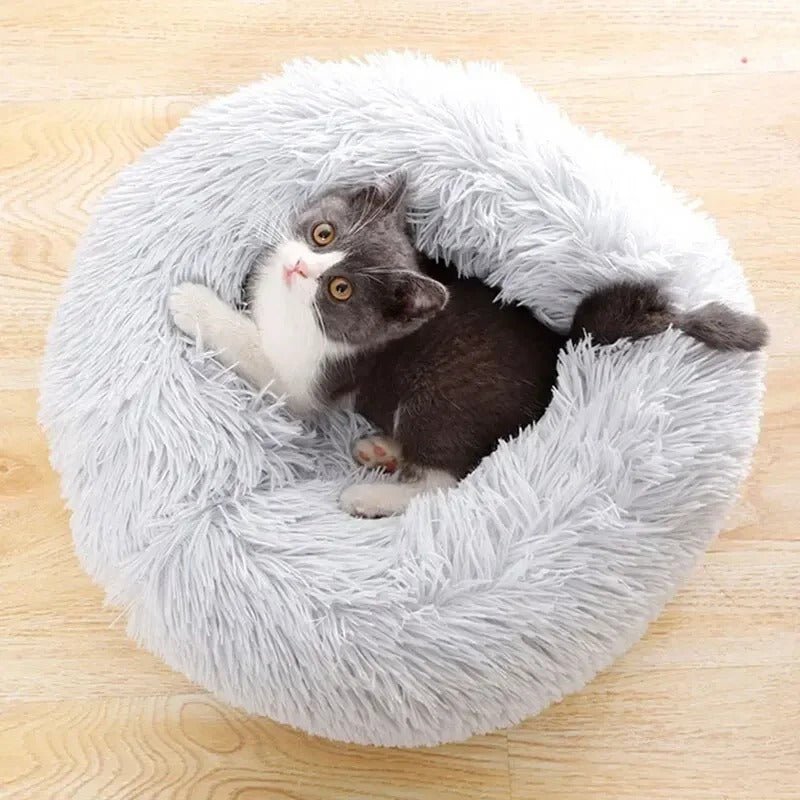 COUSSIN POUR CHAT | DouxDonuts™ - Patte à Chat