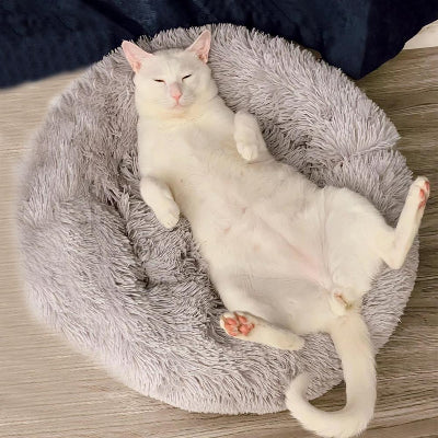 coussin-pour-chat-douxdonuts