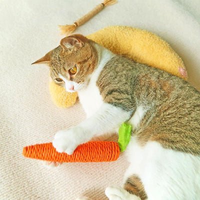 Coussin pour chat | Luna™ - Patte à Chat