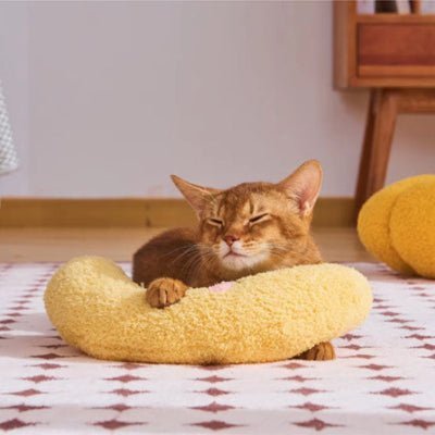 Coussin pour chat | Luna™ - Patte à Chat