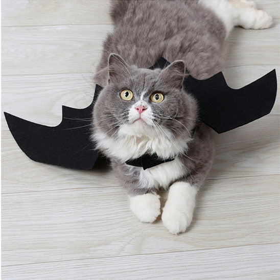 déguisement-pour-chat-noir-mignon