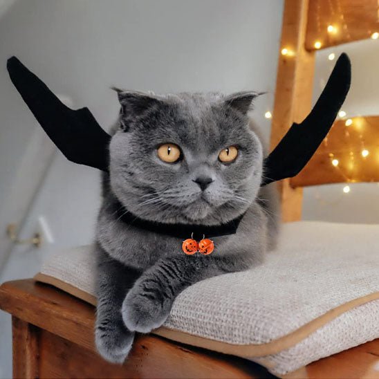 déguisement-pour-chat-halloween