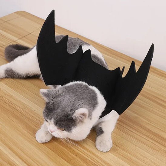 déguisement-pour-chat-batman