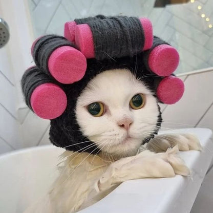 déguisement-pour-chat-bigoudi-amusant