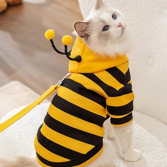 déguisement-pour-chat-buzzymiaou-bumble