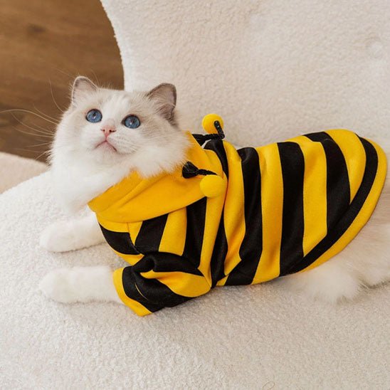 déguisement-pour-chat-buzzymiaou-bee