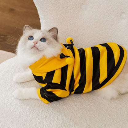 déguisement-pour-chat-buzzymiaou-bee