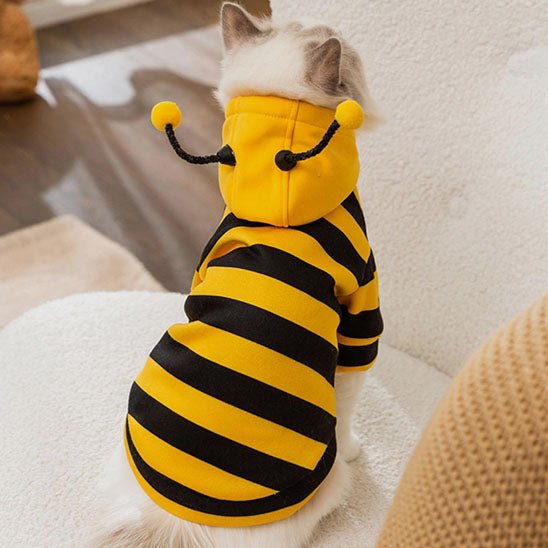déguisement-pour-chat-buzzymiaou-abeille-drole