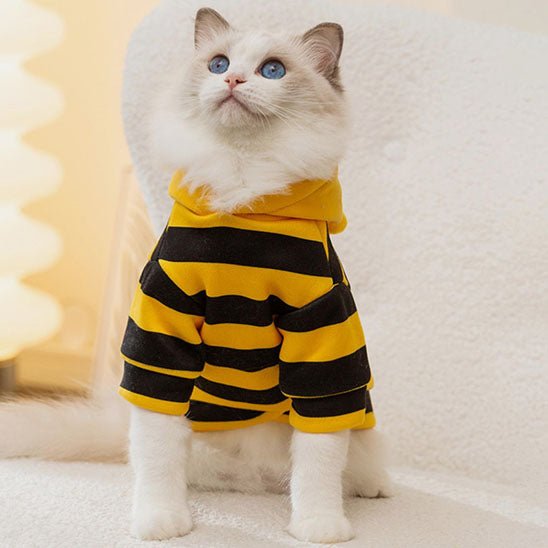 déguisement-pour-chat-buzzymiaou-zigzag