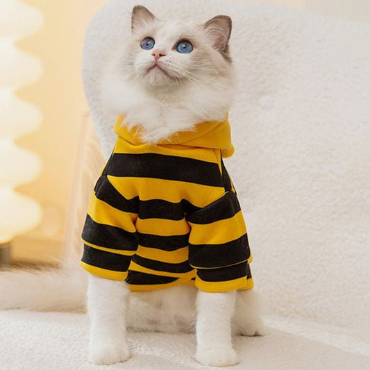 déguisement-pour-chat-buzzymiaou-zigzag